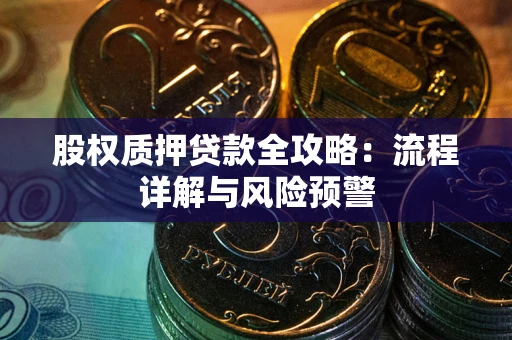 武汉股权质押贷款全攻略：流程详解与风险预警