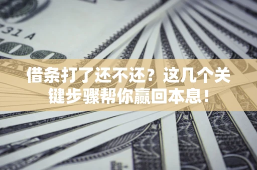武汉借条打了还不还？这几个关键步骤帮你赢回本息！