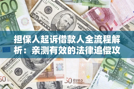 武汉担保人起诉借款人全流程解析：亲测有效的法律追偿攻略