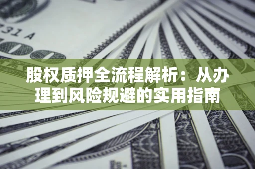 武汉股权质押全流程解析：从办理到风险规避的实用指南
