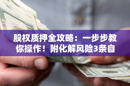 武汉股权质押全攻略：一步步教你操作！附化解风险3条自救法则
