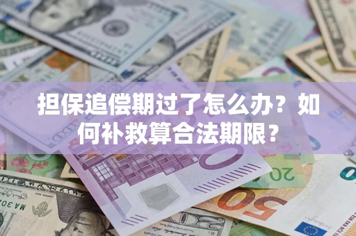 武汉担保追偿期过了怎么办？如何补救算合法期限？