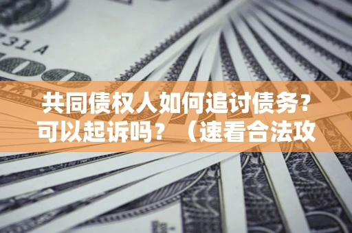 武汉共同债权人如何追讨债务？可以起诉吗？（速看合法攻略）
