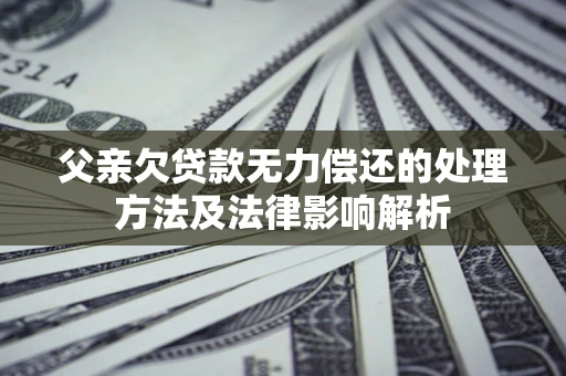 武汉父亲欠贷款无力偿还的处理方法及法律影响解析